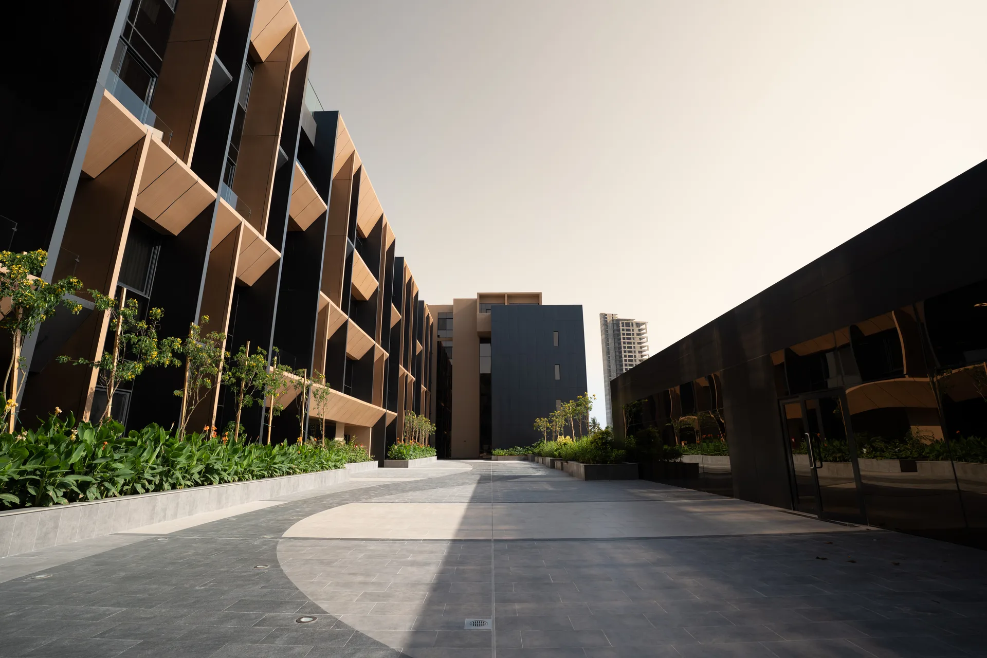 Ayan Al Shatie — Project No. 112 — 2