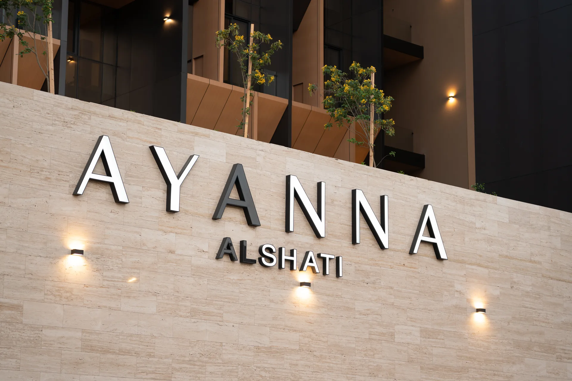 Ayan Al Shatie — Project No. 112 — 3